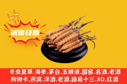 衡阳珠晖区回收冬虫夏草